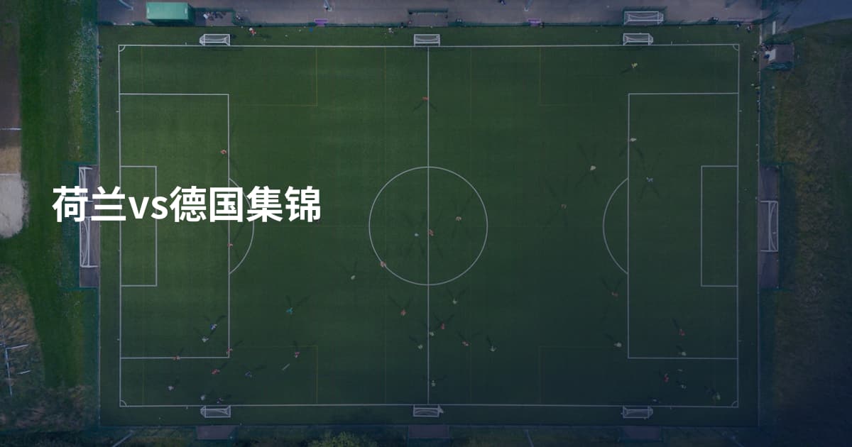 荷兰vs德国集锦