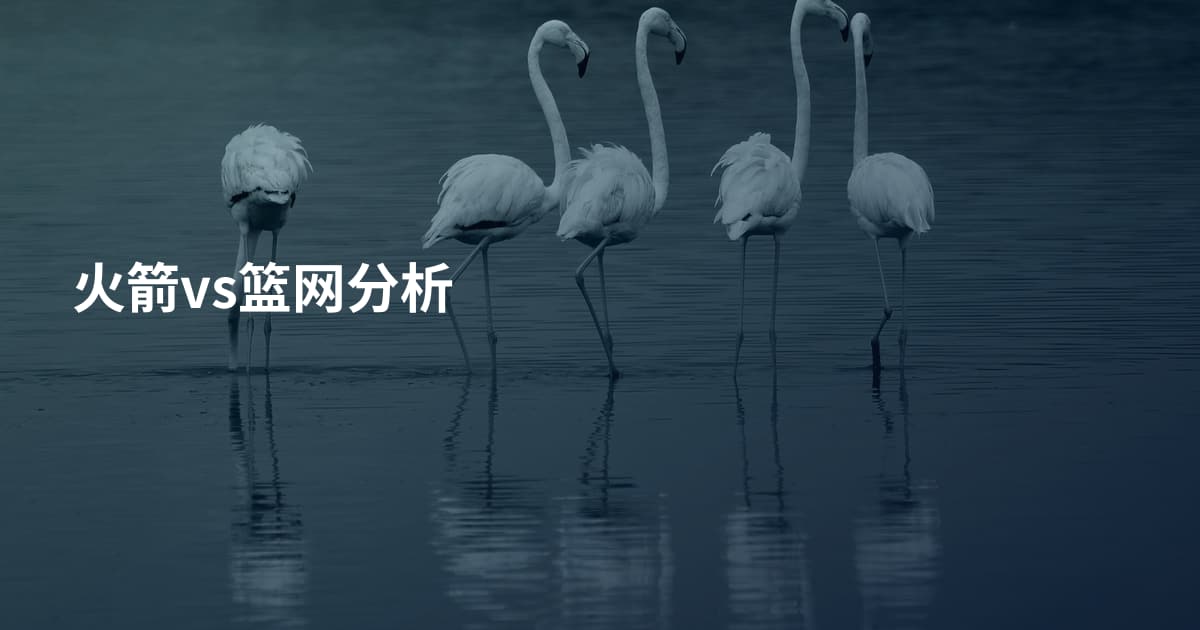 火箭vs篮网分析