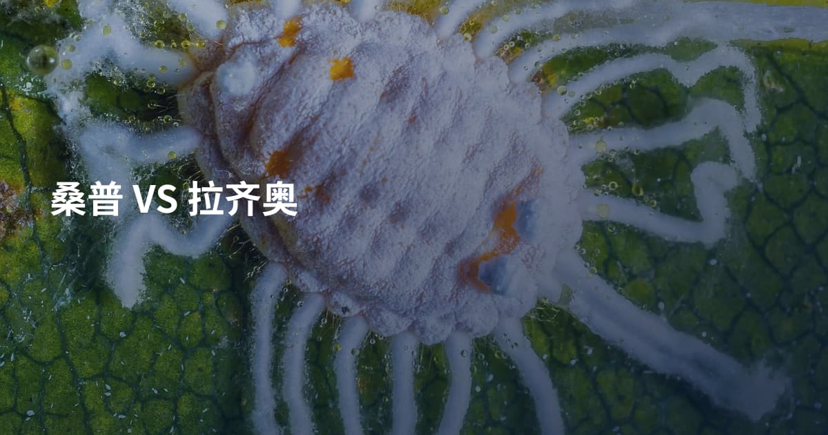 桑普 VS 拉齐奥