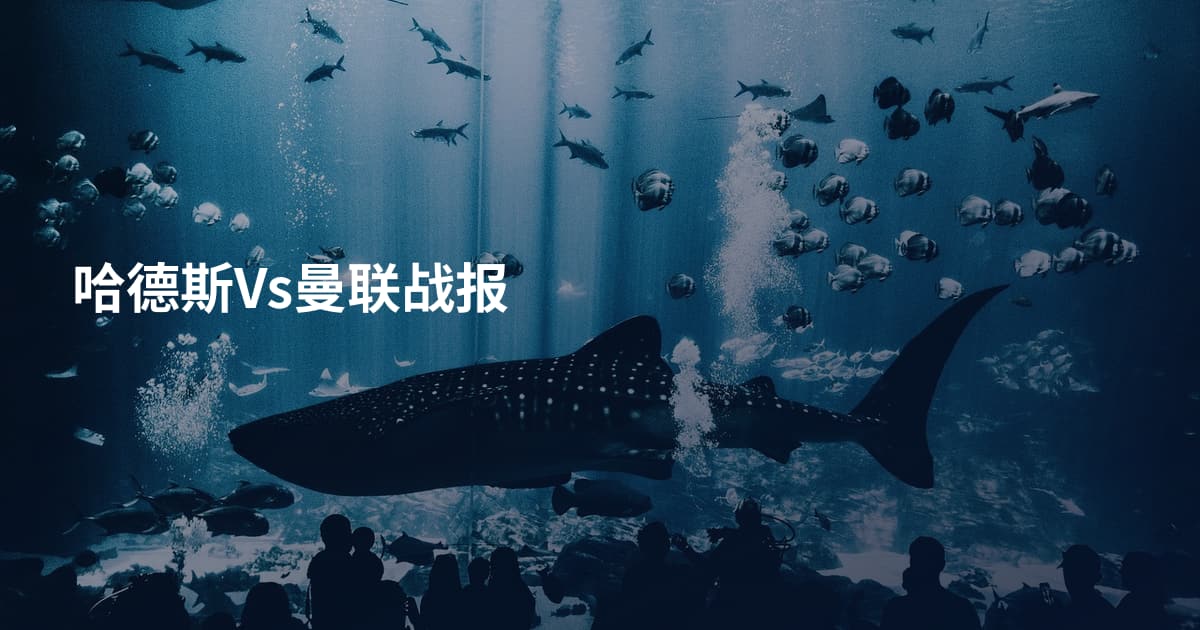 哈德斯Vs曼联战报
