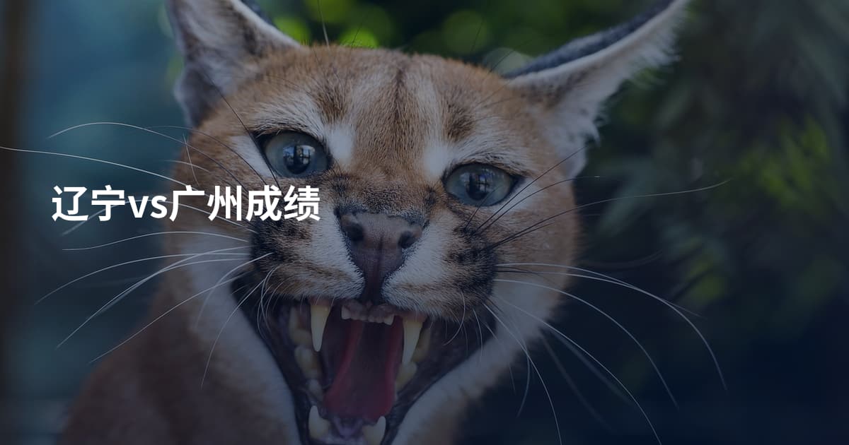 辽宁vs广州成绩