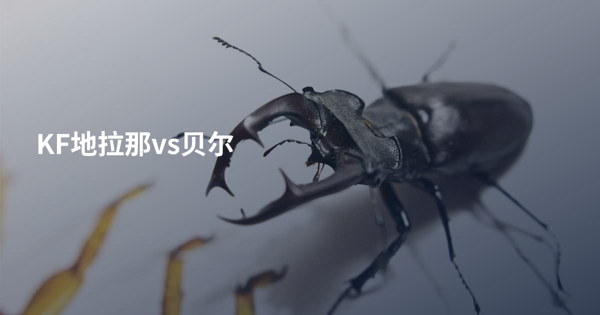 KF地拉那vs贝尔