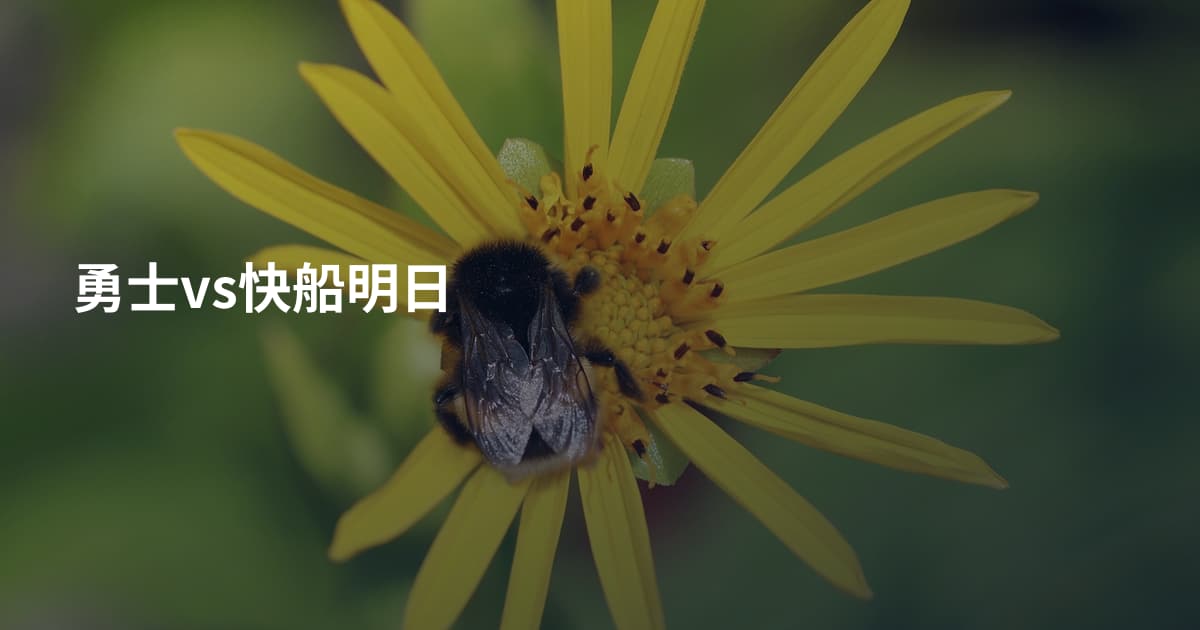 勇士vs快船明日