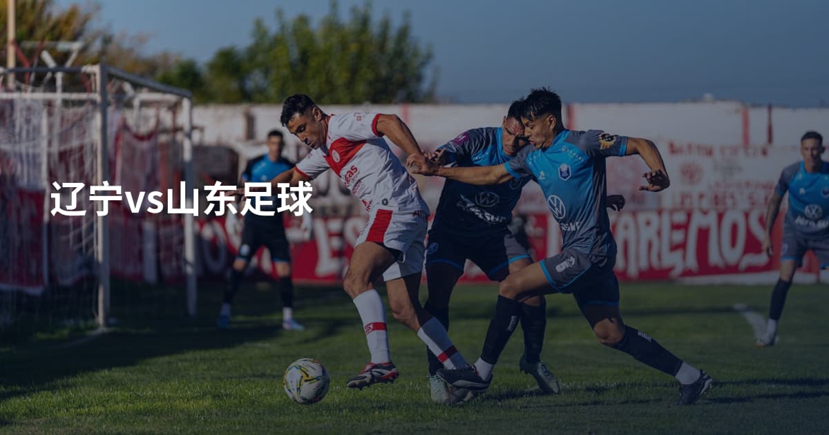 辽宁vs山东足球