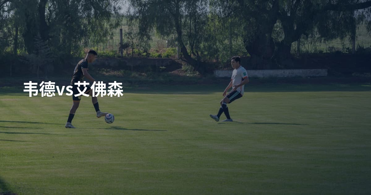 韦德vs艾佛森