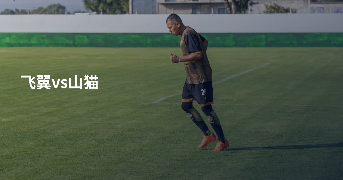 飞翼vs山猫