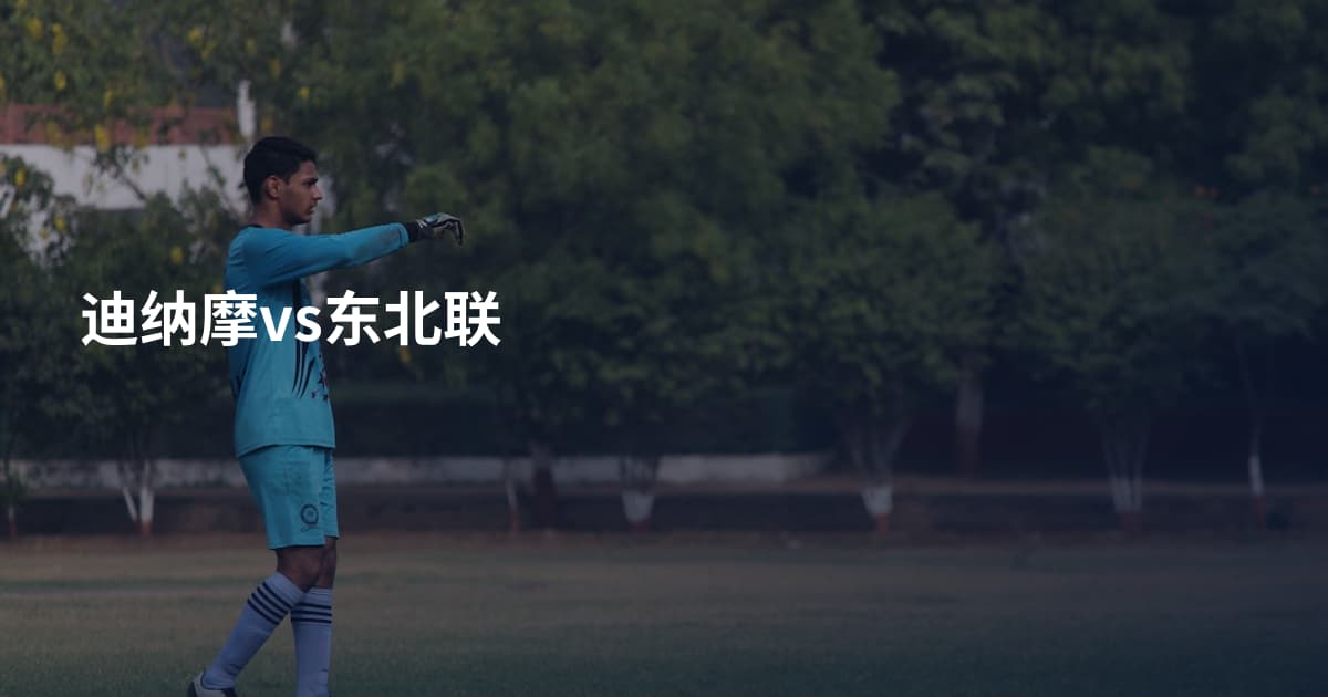 迪纳摩vs东北联