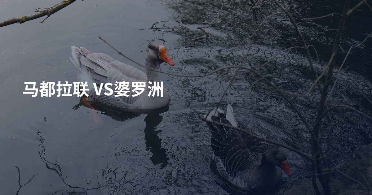 马都拉联 VS婆罗洲