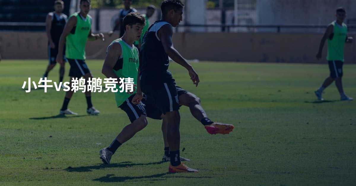 小牛vs鹈鹕竞猜