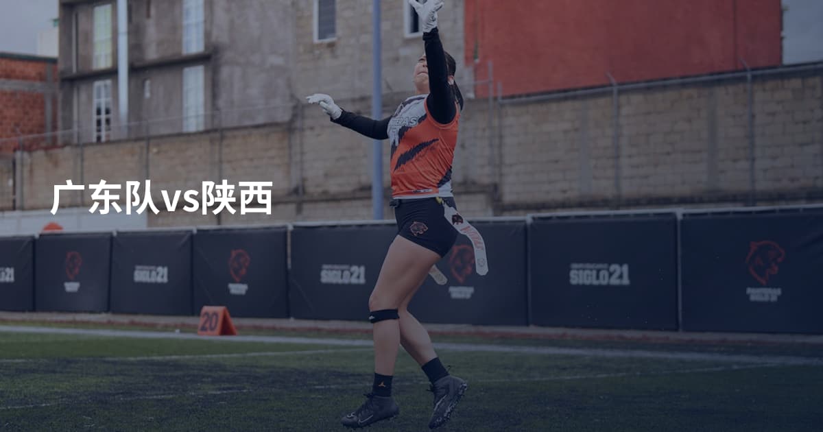 广东队vs陕西