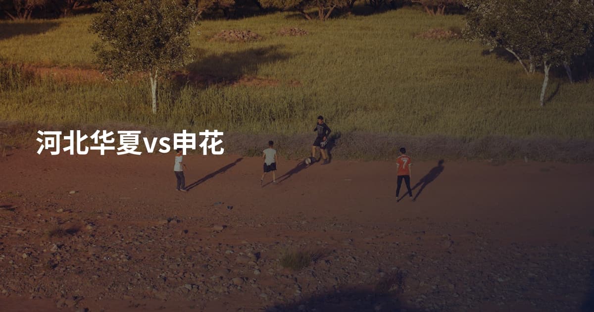 河北华夏vs申花