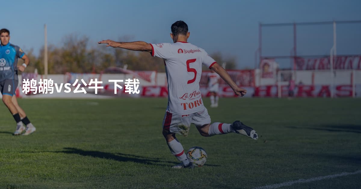 鹈鹕vs公牛 下载