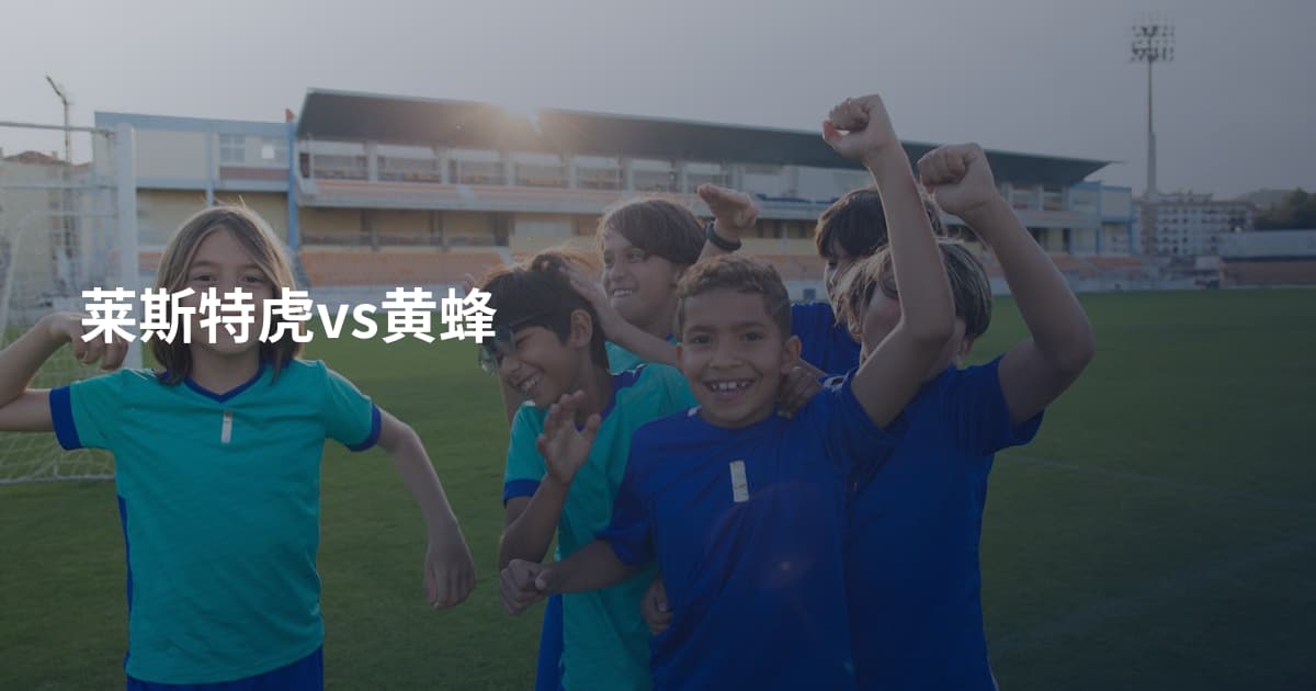 莱斯特虎vs黄蜂