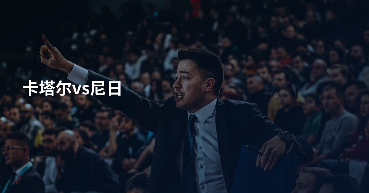 卡塔尔vs尼日