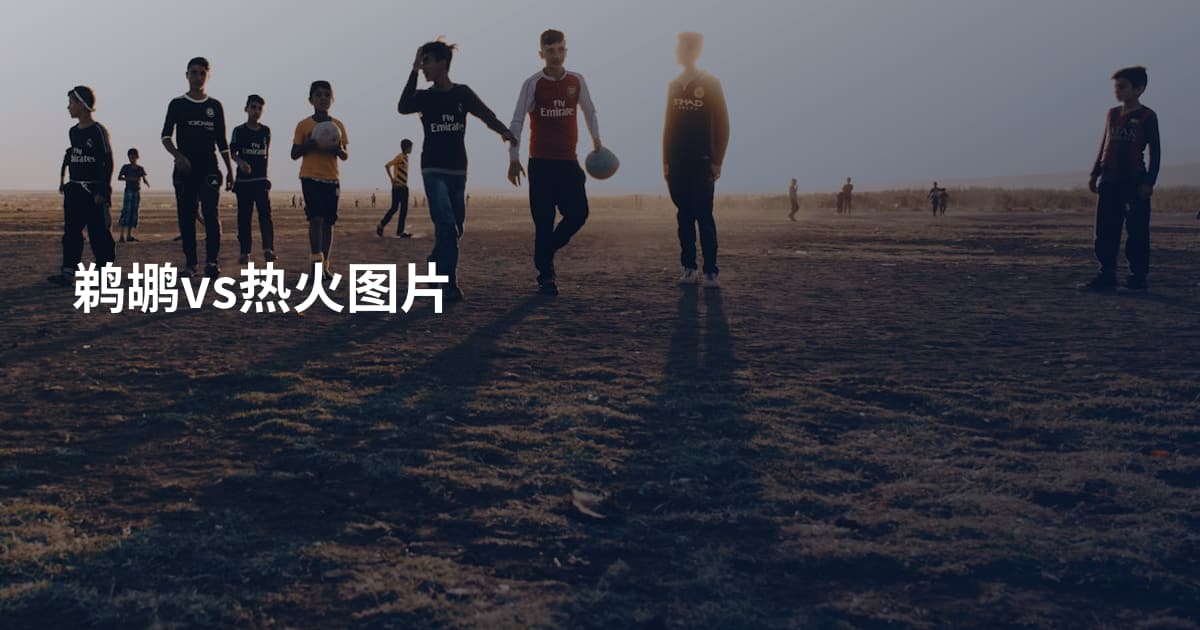 鹈鹕vs热火图片