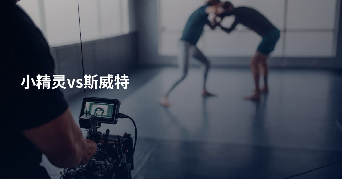 小精灵vs斯威特