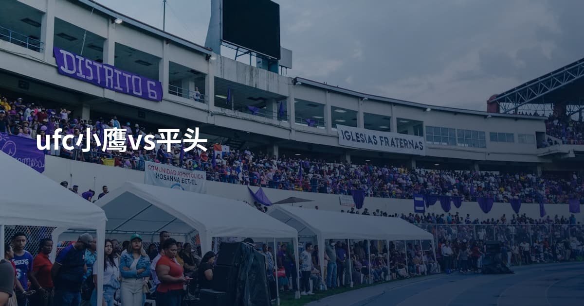 ufc小鹰vs平头