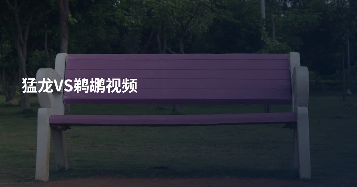 猛龙VS鹈鹕视频
