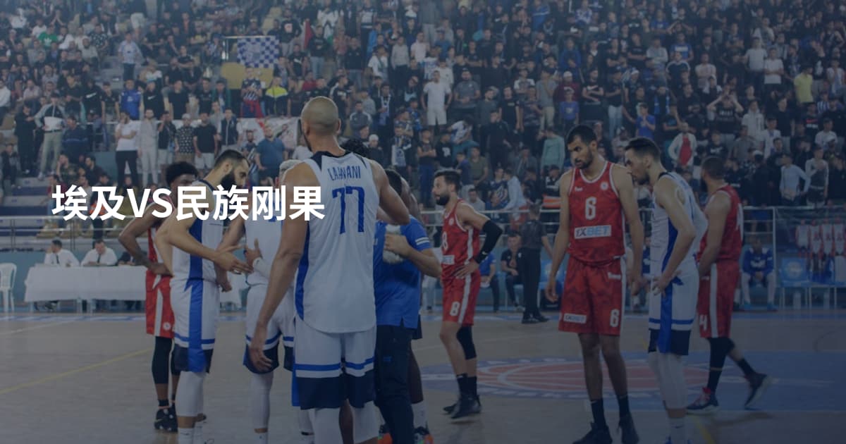 埃及VS民族刚果