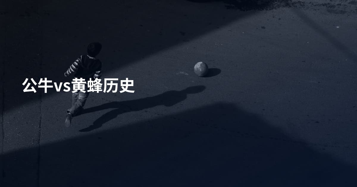 公牛vs黄蜂历史