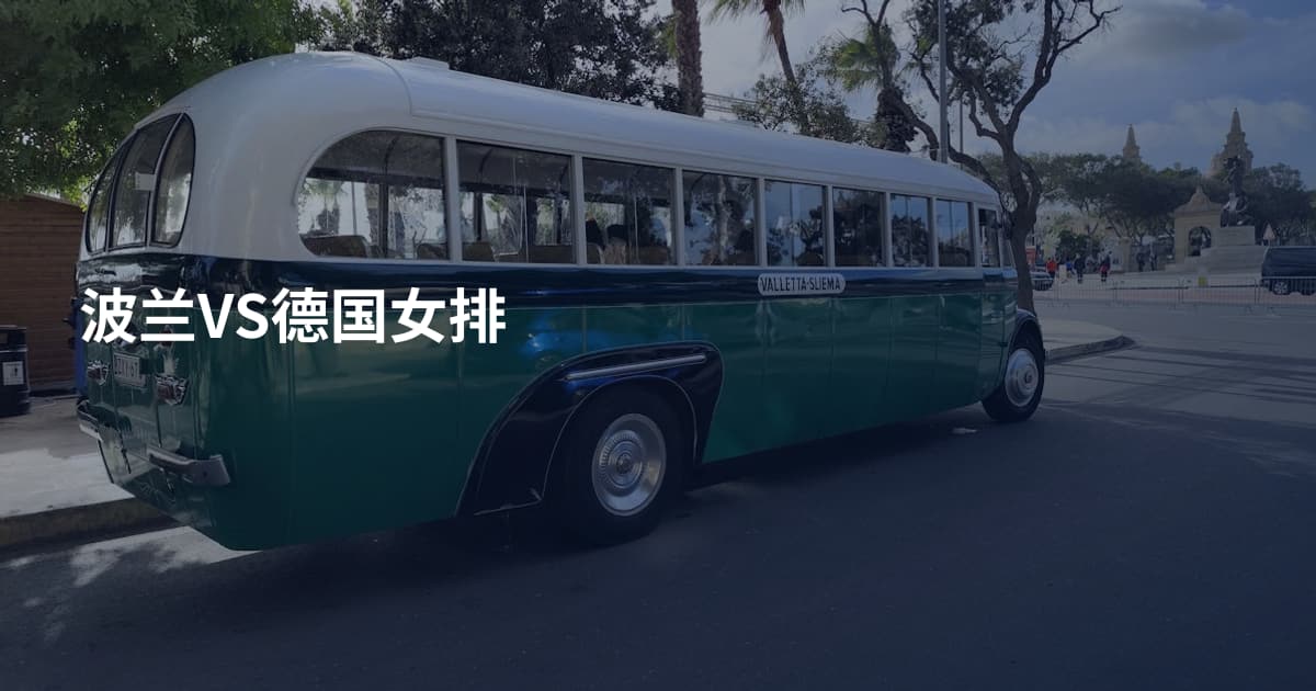 波兰VS德国女排