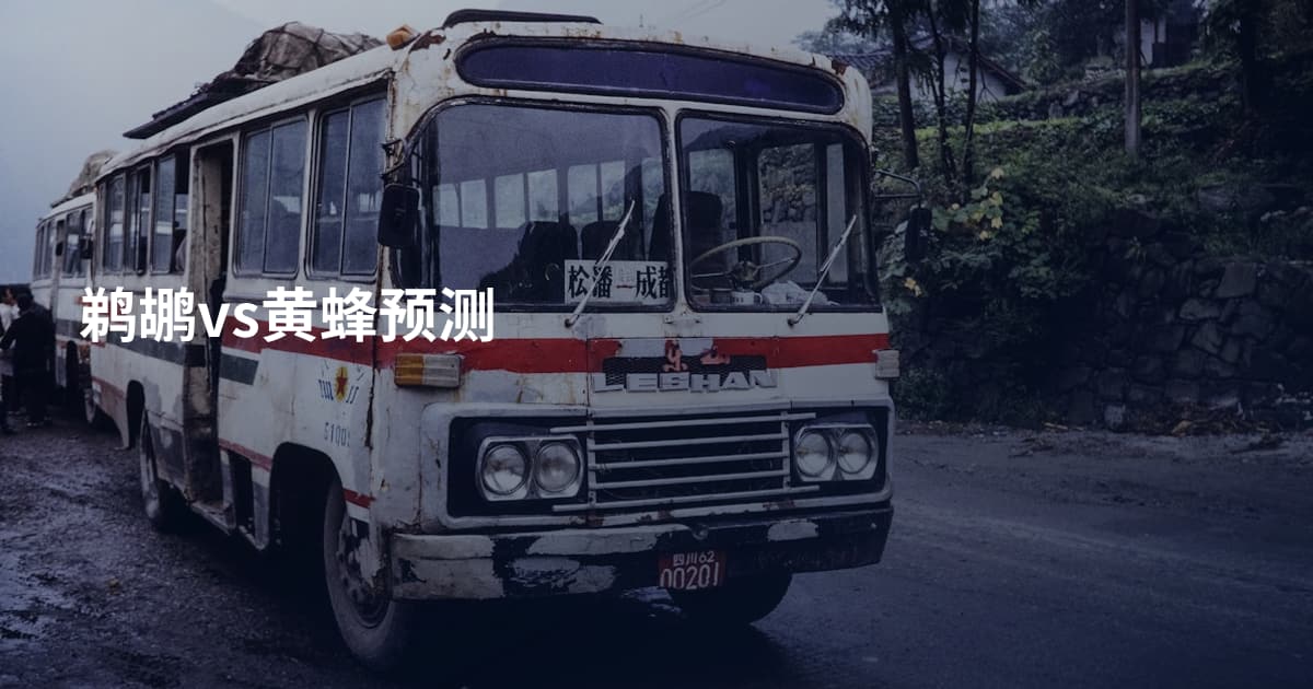 鹈鹕vs黄蜂预测