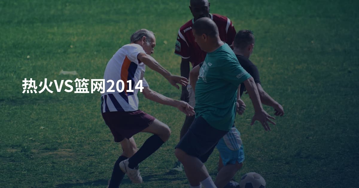 热火VS篮网2014