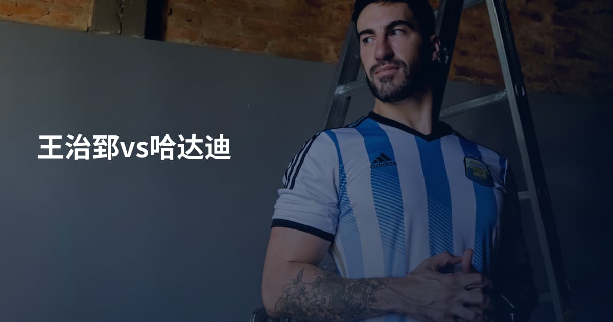 王治郅vs哈达迪