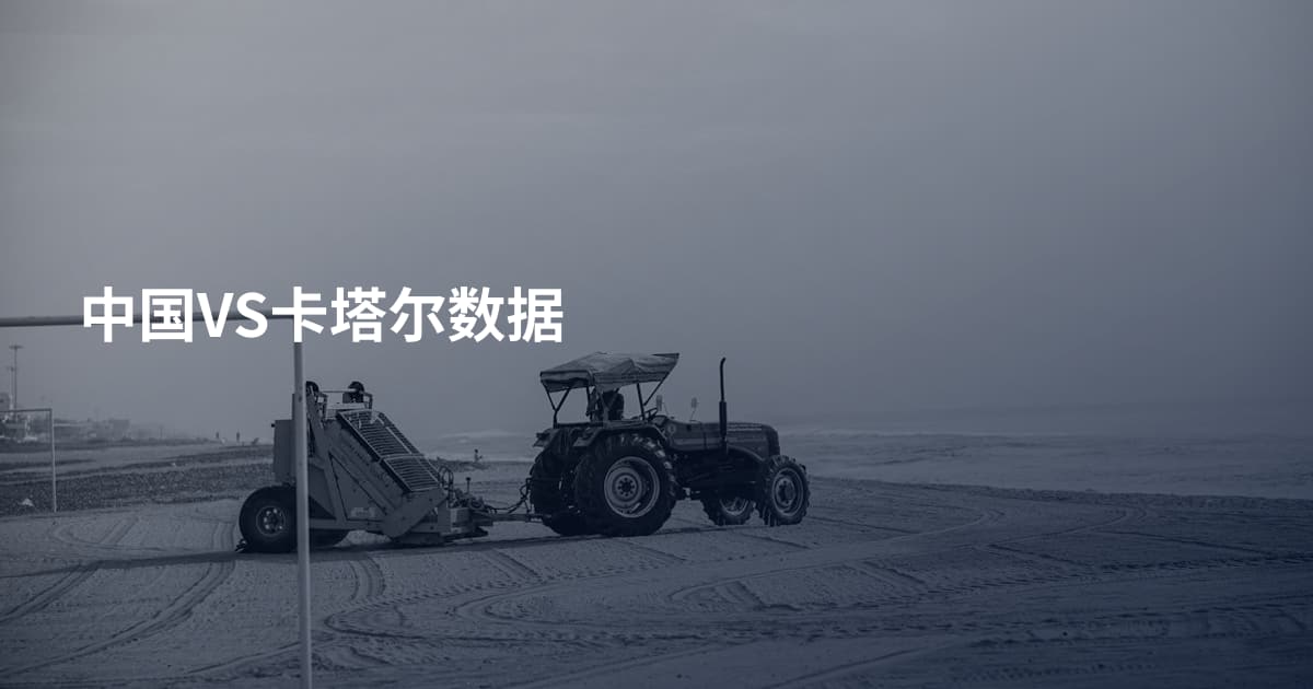 中国VS卡塔尔数据