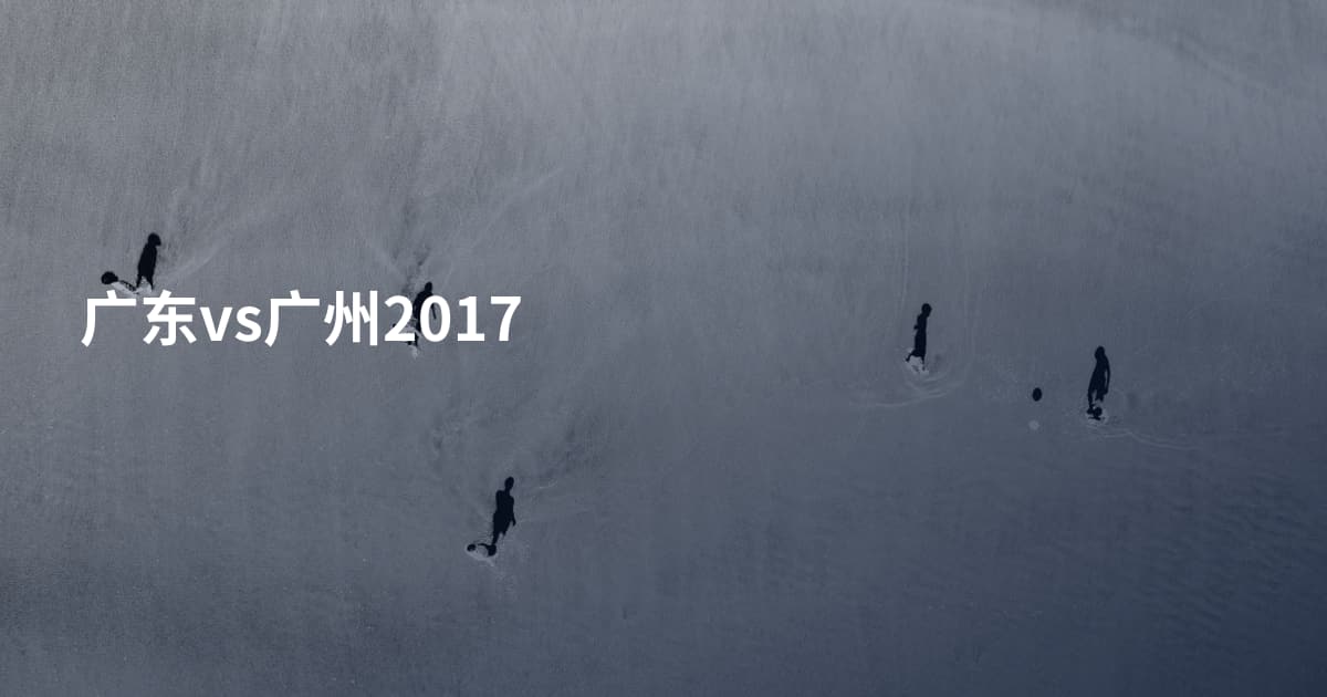 广东vs广州2017
