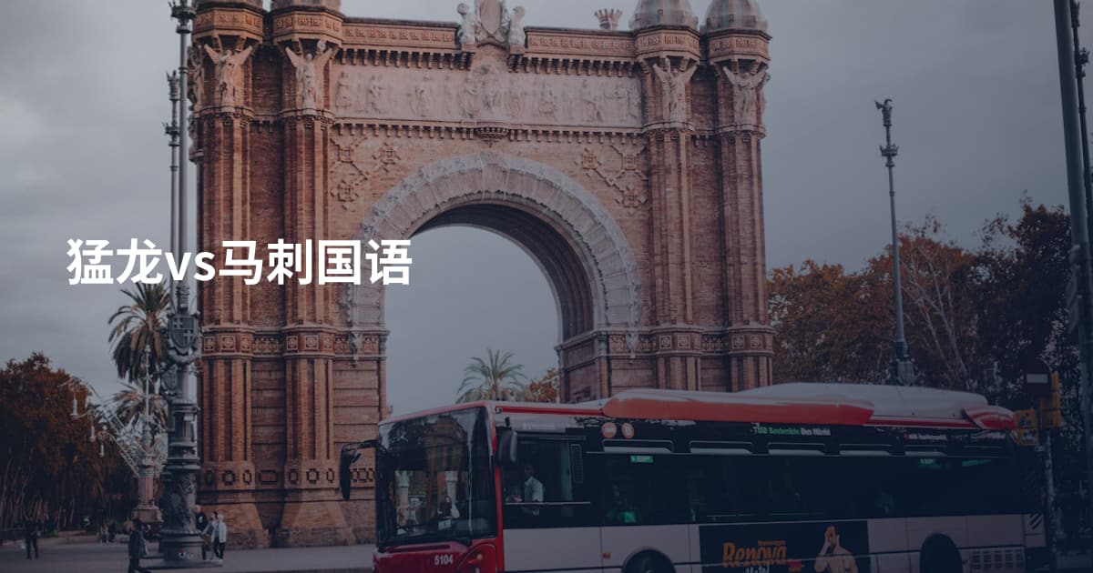 猛龙vs马刺国语