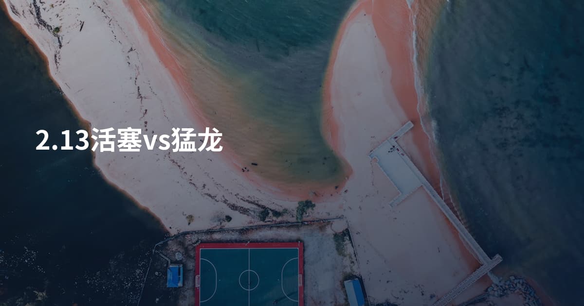 2.13活塞vs猛龙