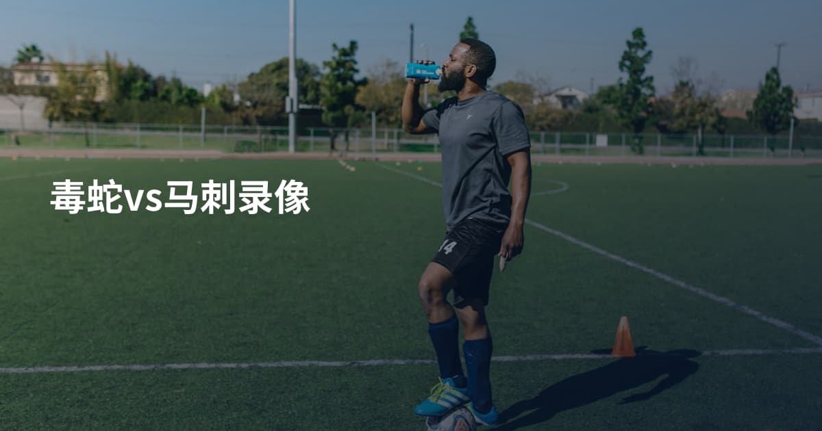 毒蛇vs马刺录像