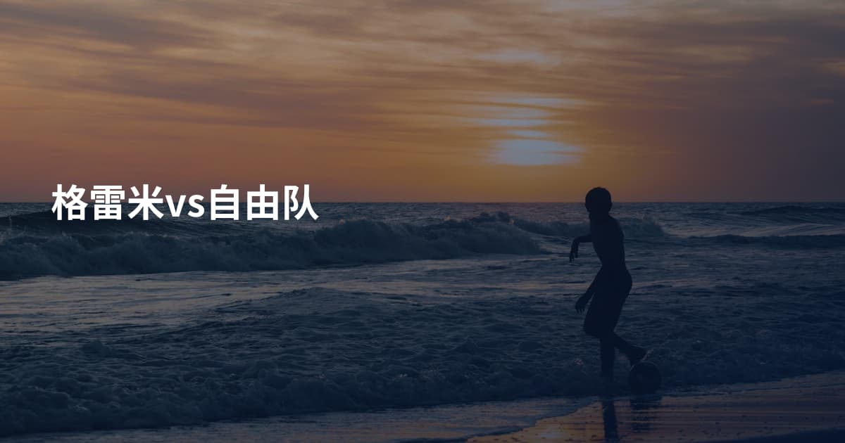 格雷米vs自由队