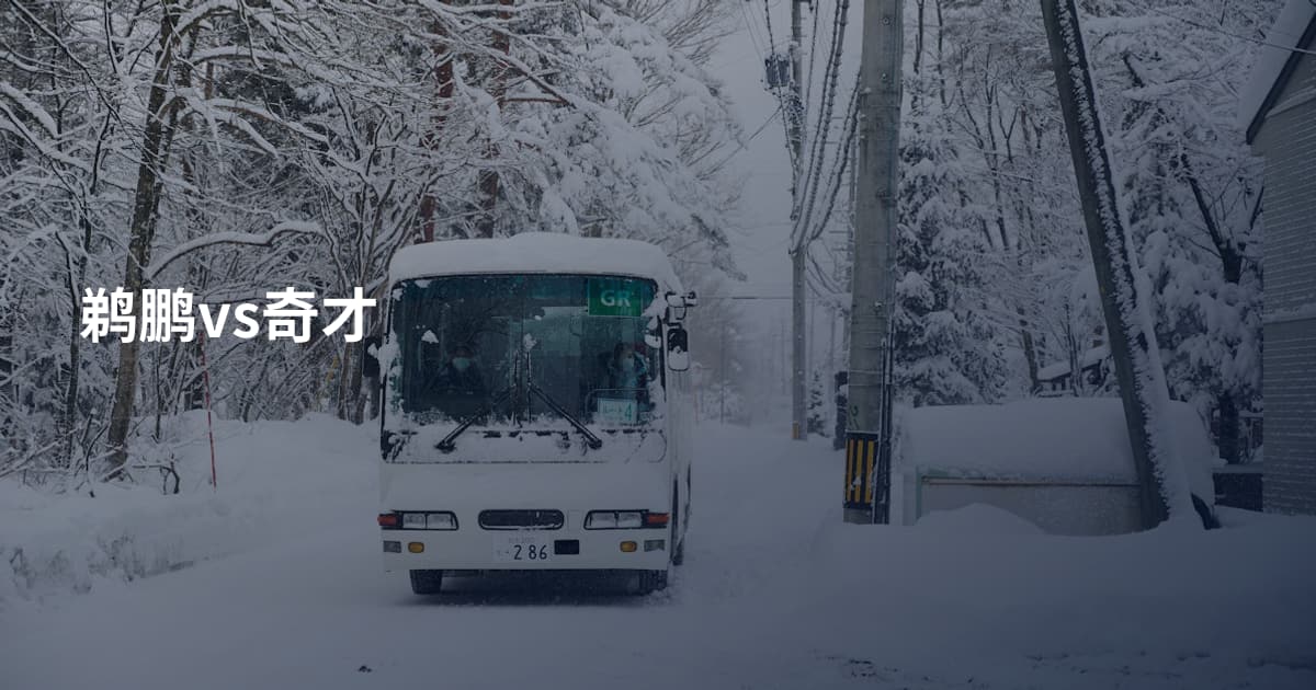 鹈鹏vs奇才