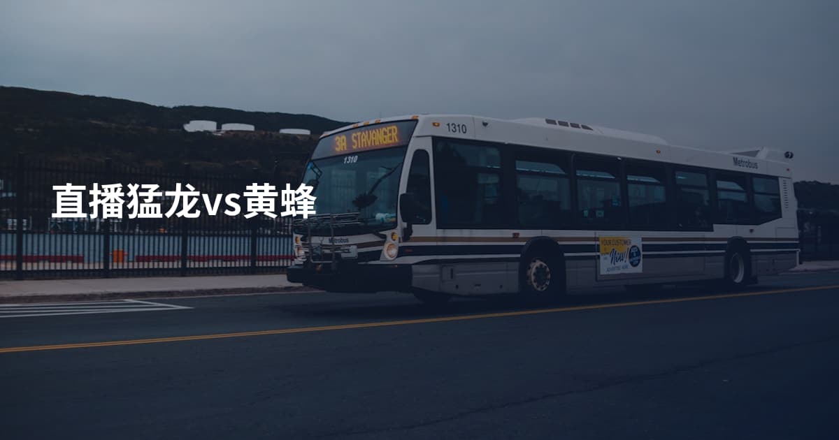 直播猛龙vs黄蜂
