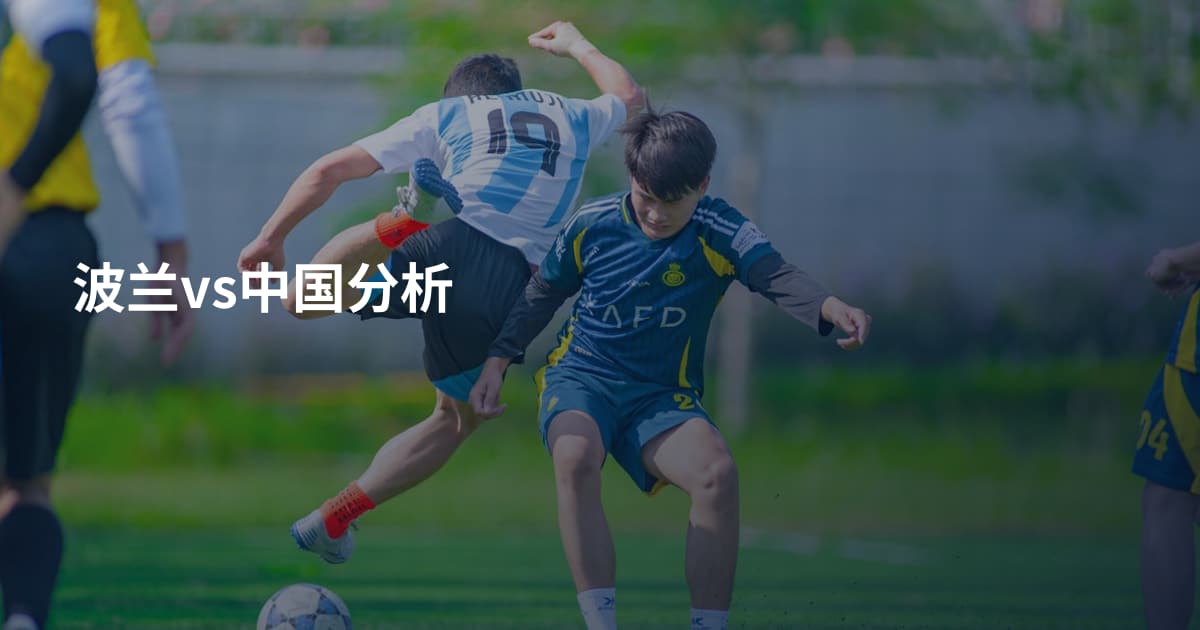 波兰vs中国分析