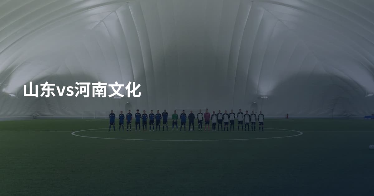 山东vs河南文化