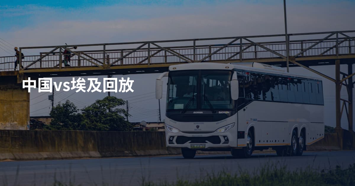 中国vs埃及回放