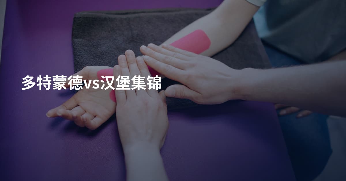 多特蒙德vs汉堡集锦