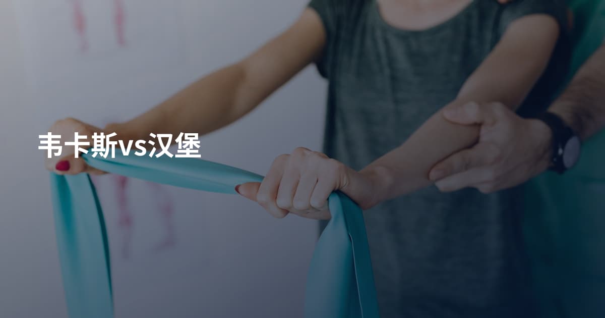 韦卡斯vs汉堡