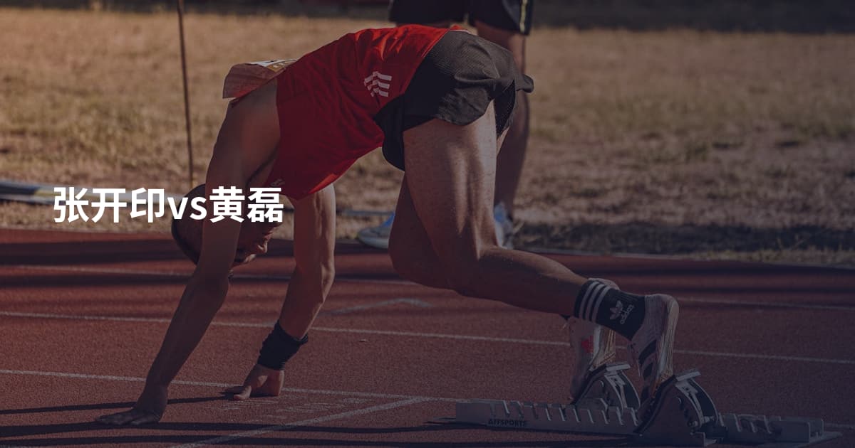 张开印vs黄磊