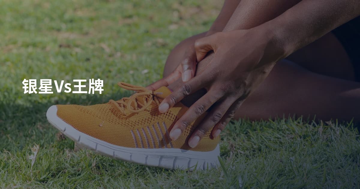 银星Vs王牌