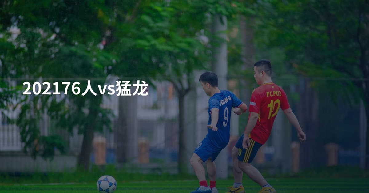 202176人vs猛龙