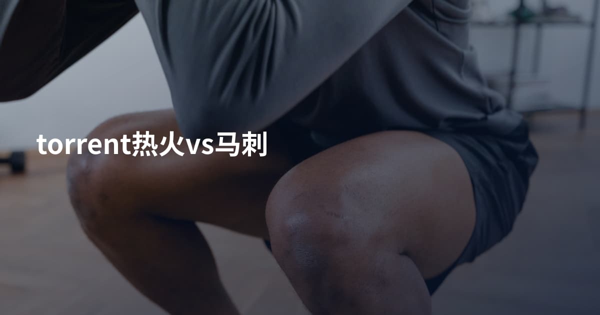 torrent热火vs马刺