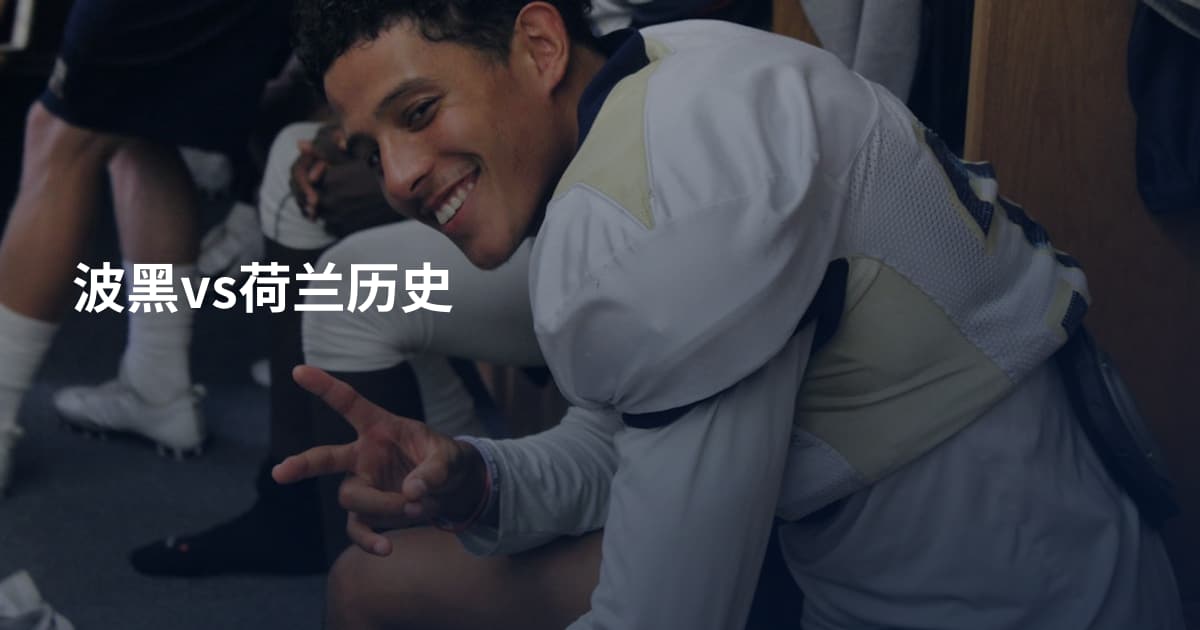 波黑vs荷兰历史