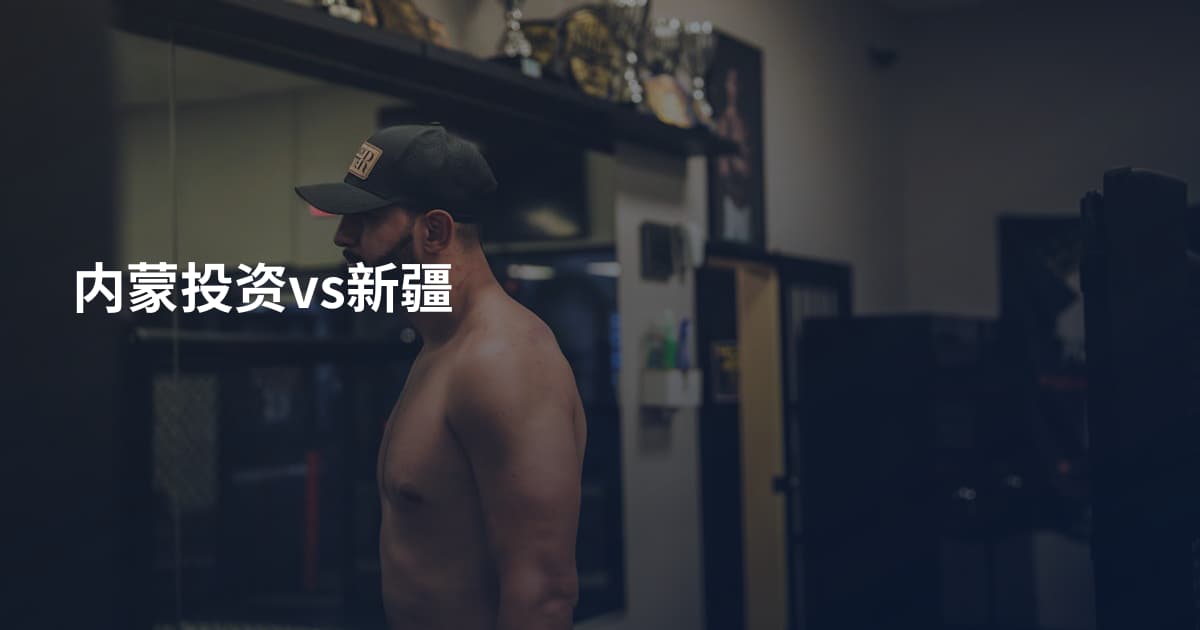 内蒙投资vs新疆