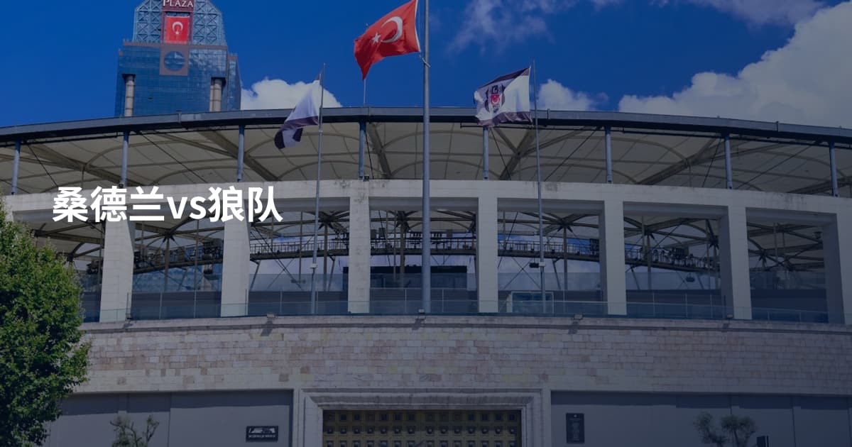 桑德兰vs狼队