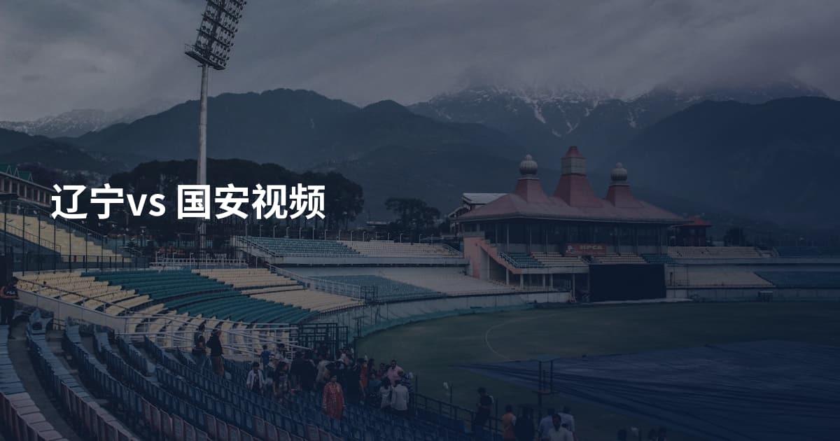 辽宁vs 国安视频