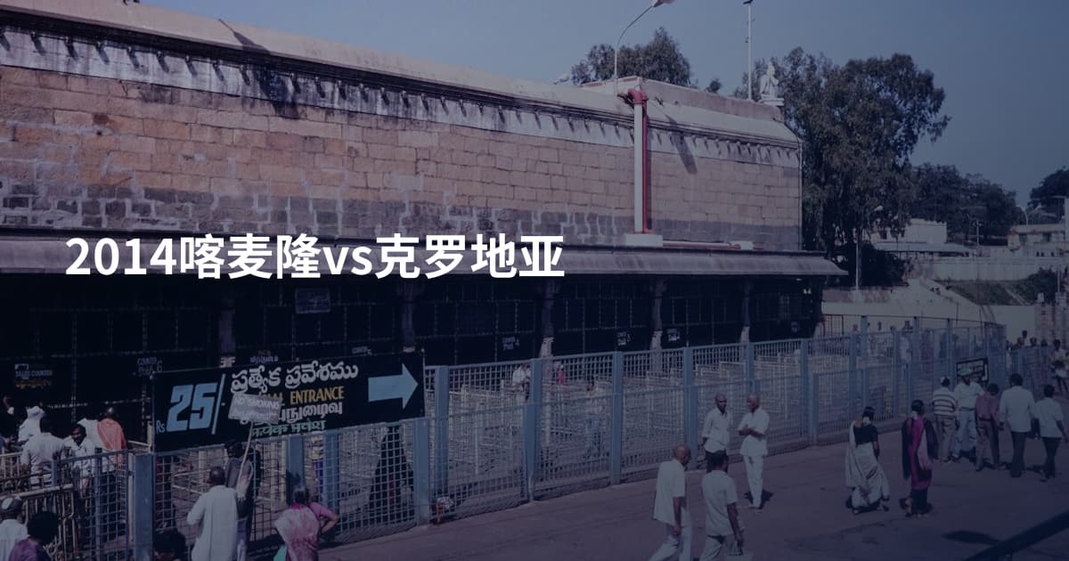 2014喀麦隆vs克罗地亚